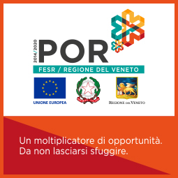 Banner Regione Veneto